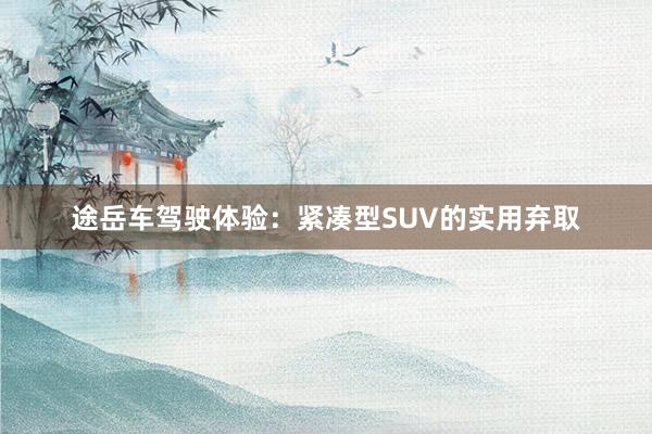 途岳车驾驶体验：紧凑型SUV的实用弃取