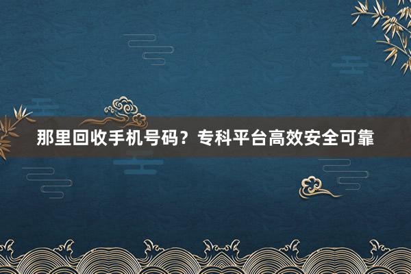 那里回收手机号码？专科平台高效安全可靠