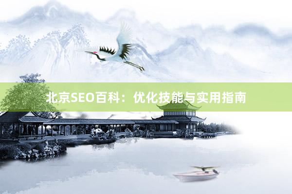 北京SEO百科：优化技能与实用指南
